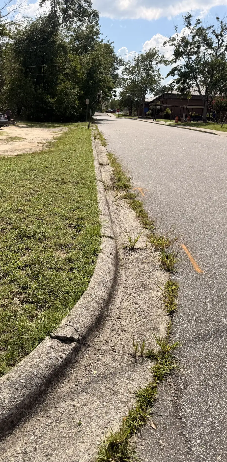 Curb edging before — overgrown with grass and weeds