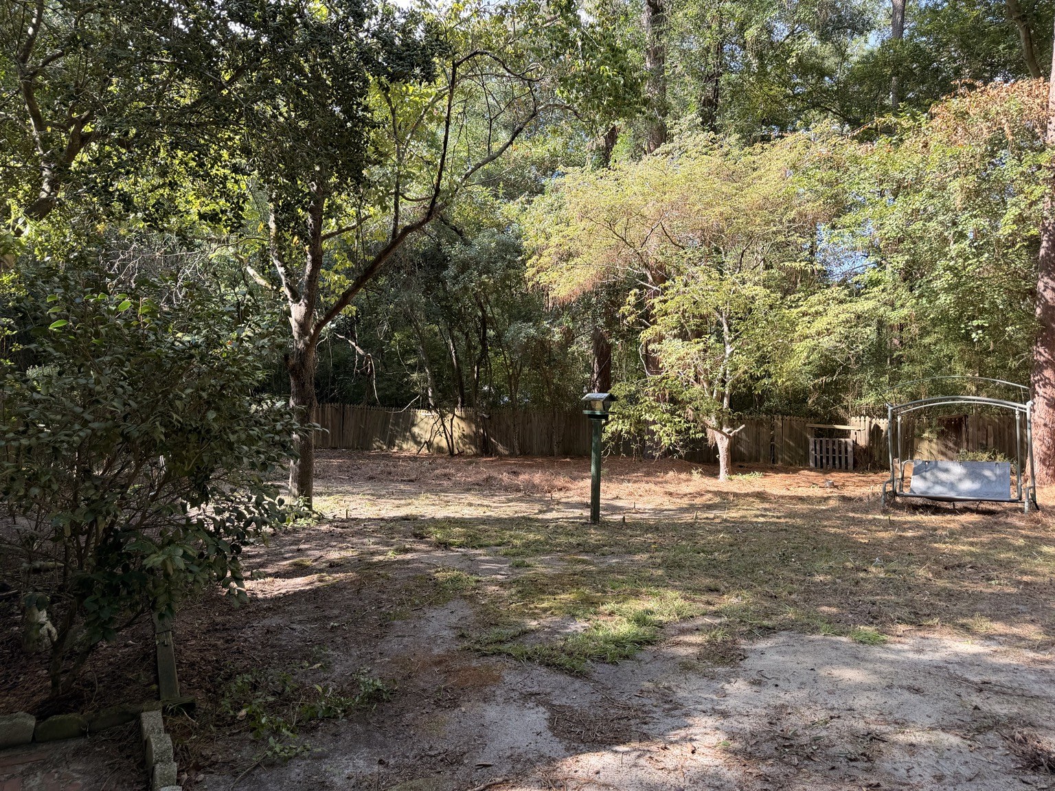 Backyard after cleanup and clearing
